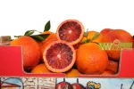 arance di sicilia grande