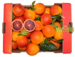 arance di sicilia grande