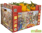 MANDARANCIO SICILIA