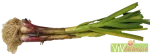 Aglio fresco naturale
