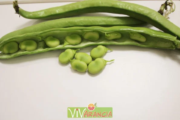 Fave biologiche siciliane 7 kg